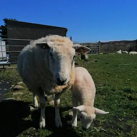 Red Gate Nyaraló Buncrana