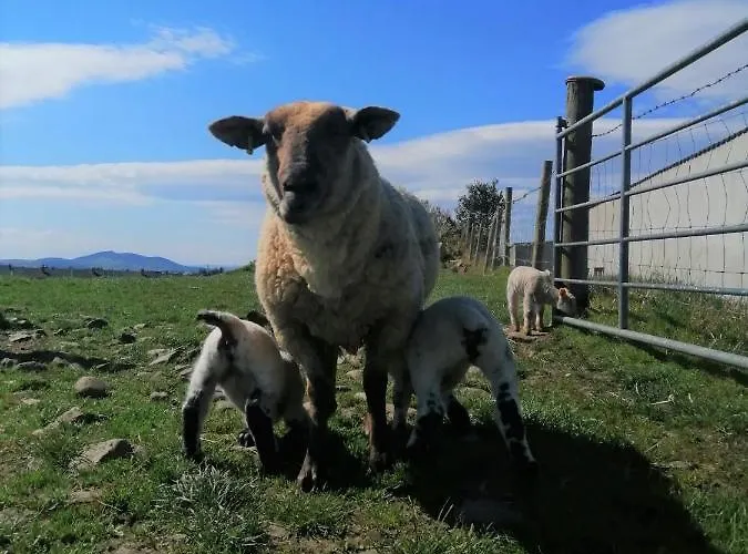 Vakantiehuis Red Gate *