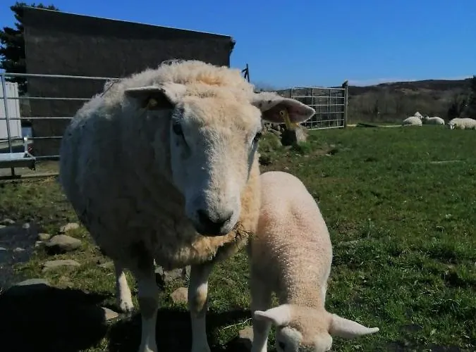 Red Gate Сasa de vacaciones Buncrana