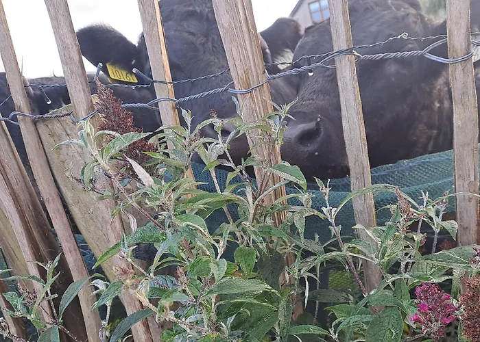 Red Gate Сasa de vacaciones *