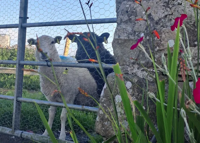 Vakantiehuis Red Gate *